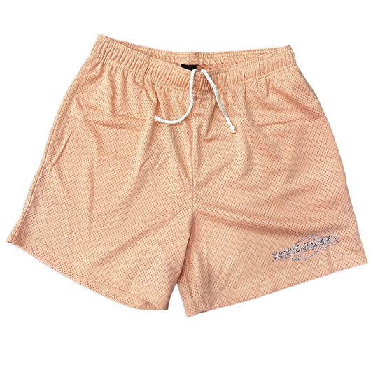 Nasaxinfinity Mesh Shorts SALMON